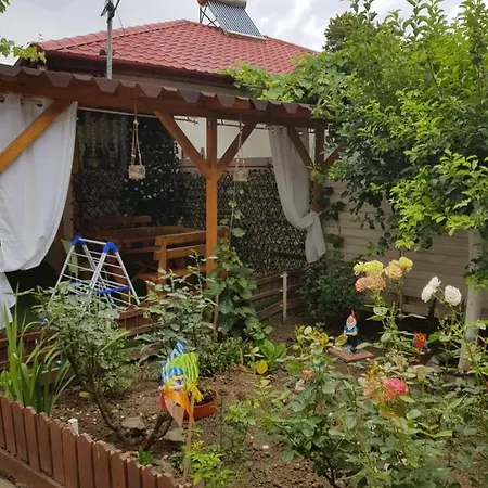 Casa Andreea 홈스테이